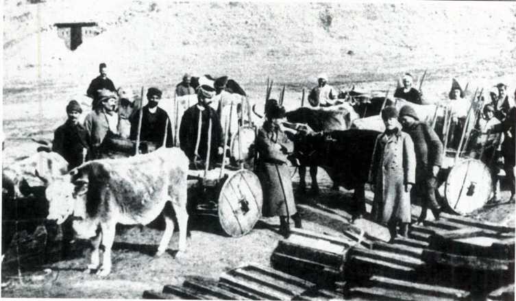 Çanakkale Deniz Zaferi'nin üzerinden 110 yıl geçti