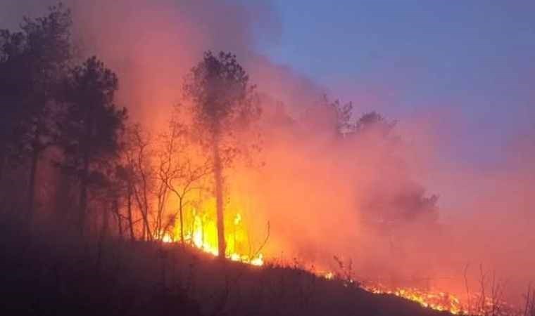 Hatay'da çıkan orman yangını kontrol altına alındı