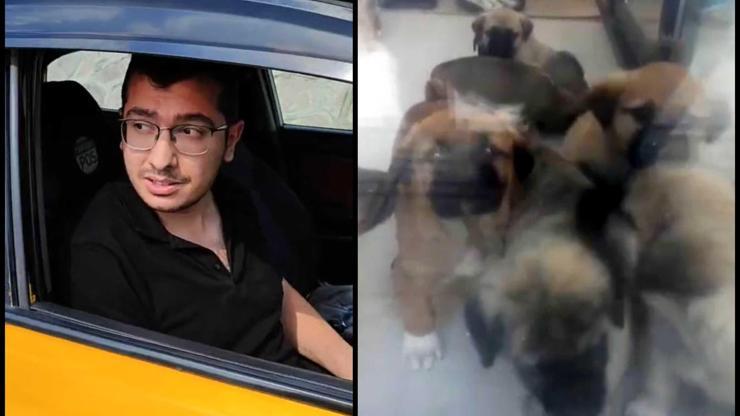 26 köpeği sahiplenip, evinde öldürdüğü iddia edildi İfadesi ortaya çıktı