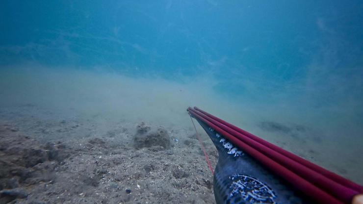 Çanakkale Boğazında deniz dibinde müsilaj yoğunluğu