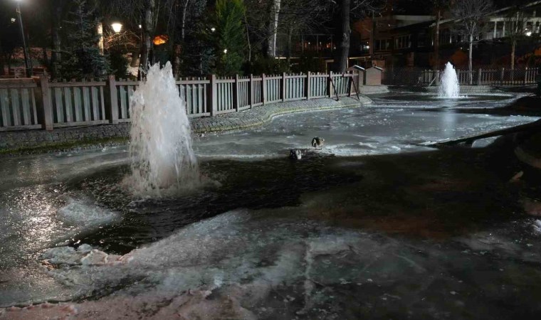 Ankara’da hava sıcaklığı eksi 10 dereceye düştü: Kuğulu Park’ın havuzu dondu