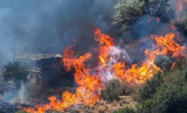 İzmir'de kaçak kazı yaparken orman yangını çıkaran sanıklar hakkında 18 yıla kadar hapis istemi